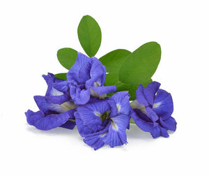 Aparajita flowers