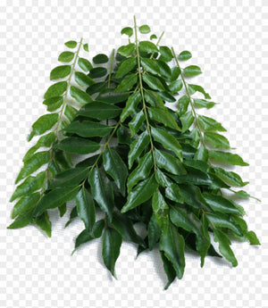 Curry Leaves