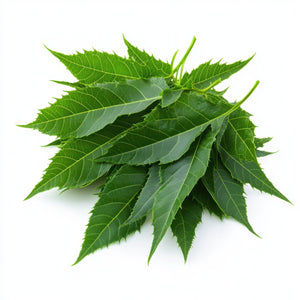 Neem