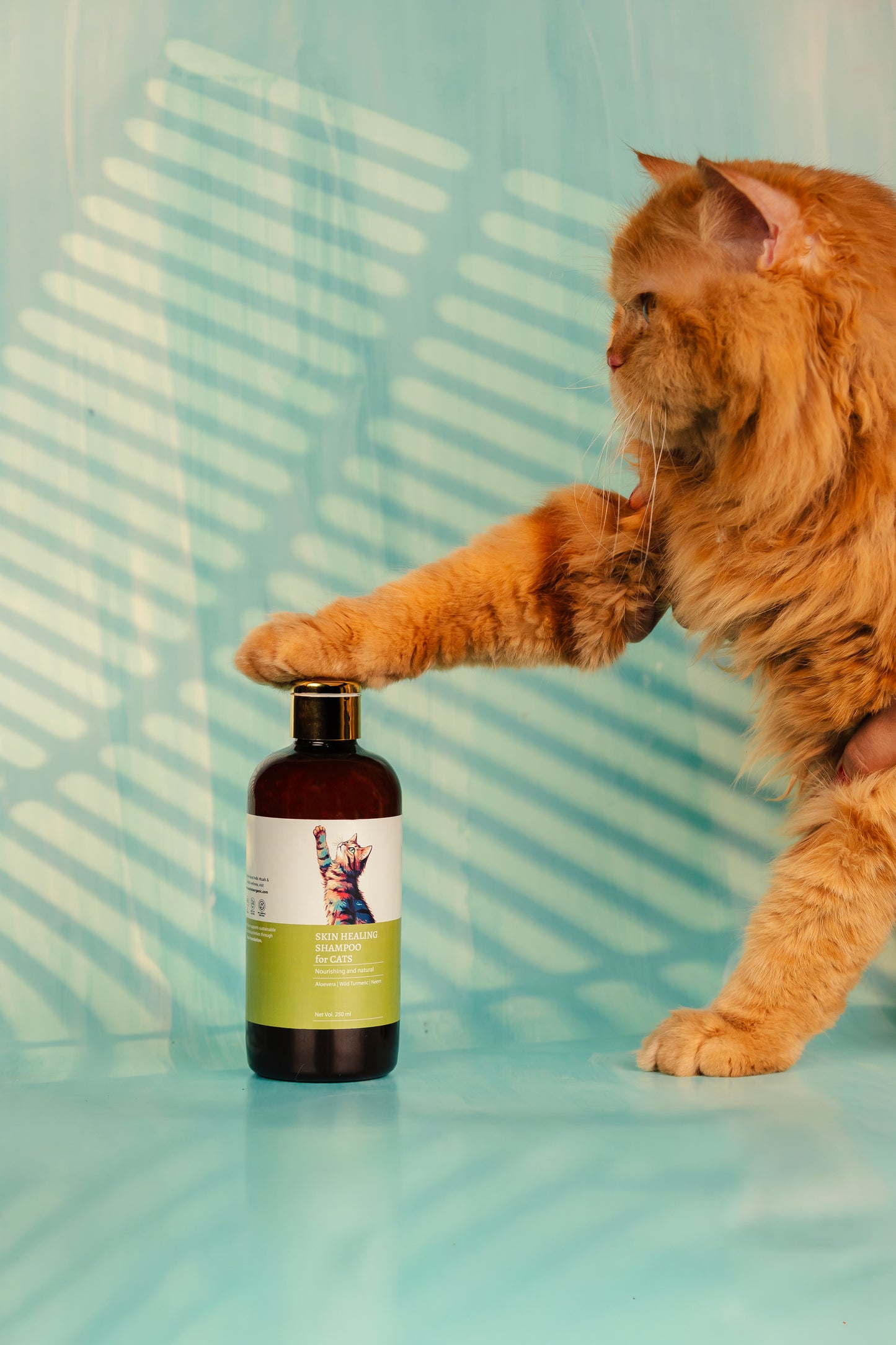 Skin Healing Shampoo for Cats - Anahata Organic