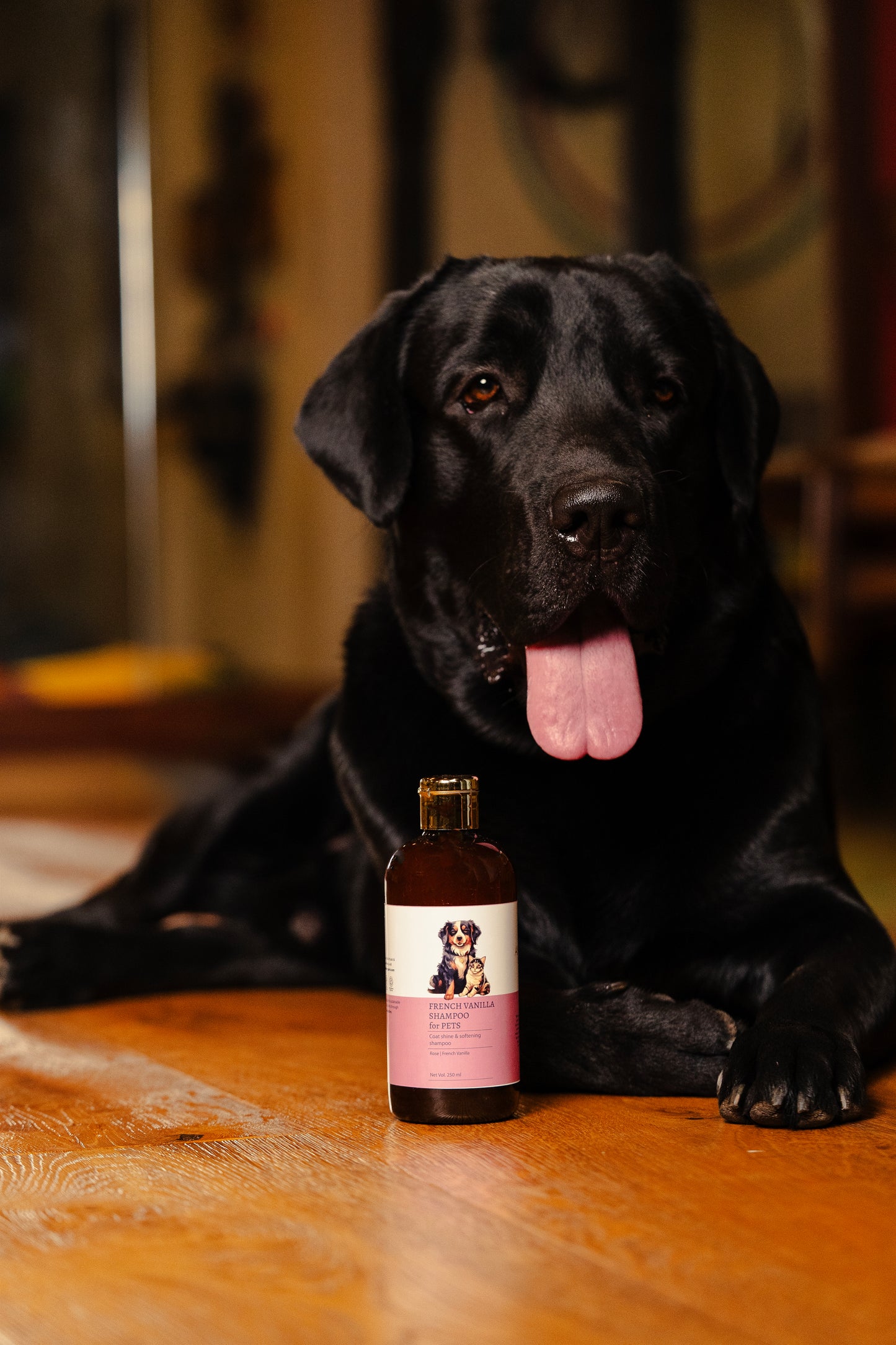 French Vanilla Shampoo for Pets - Anahata Organic