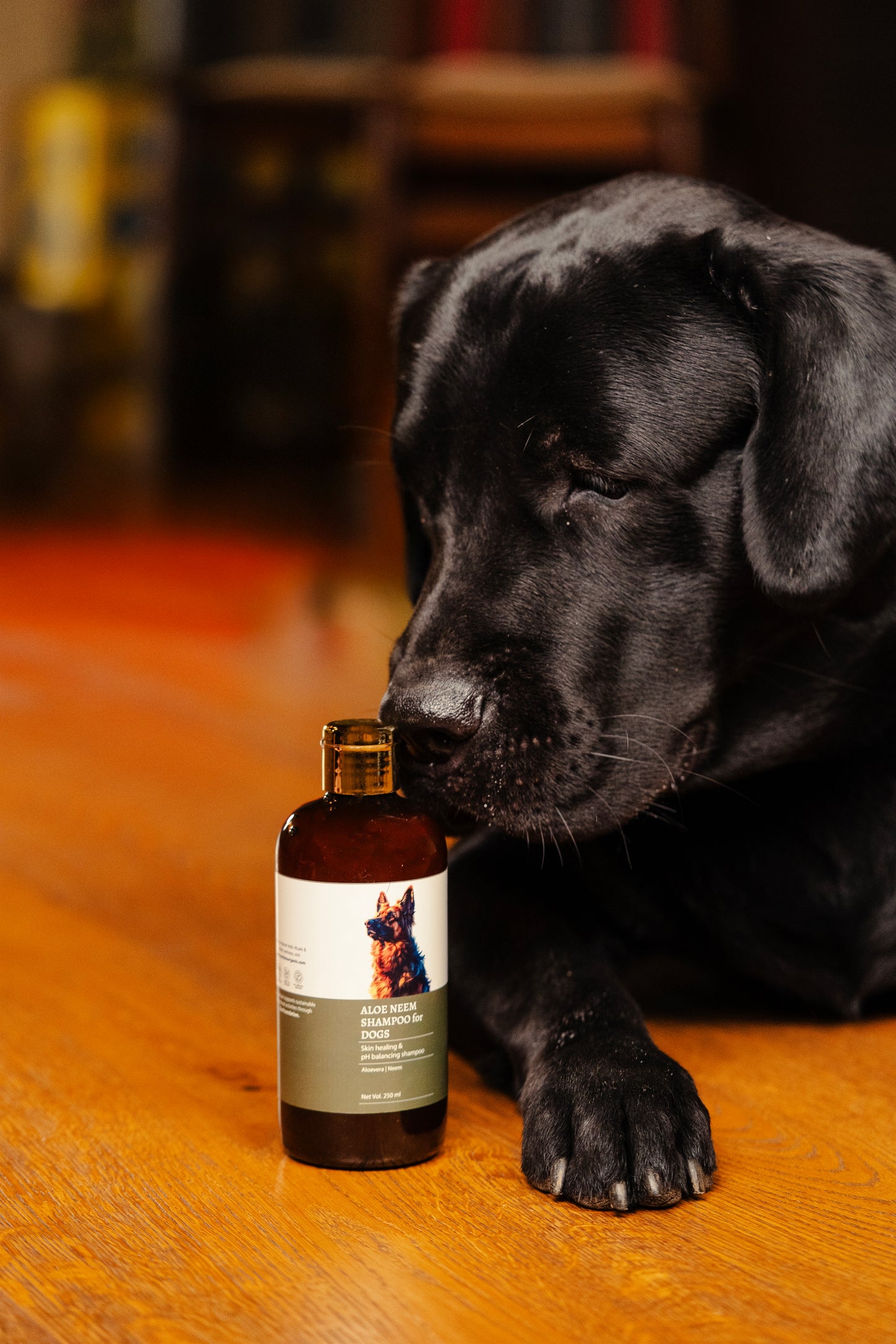Aloe Neem Shampoo for Dogs - Anahata Organic