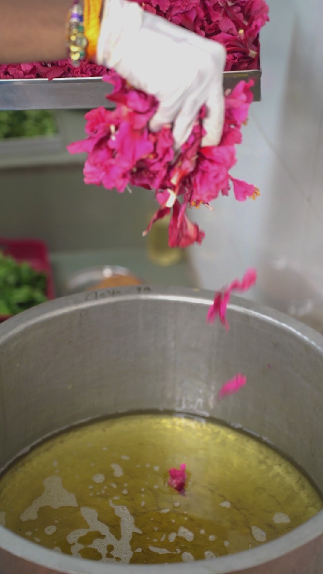 HIBISCUS HAIR OIL Colour Restoration & Hair Softening short video