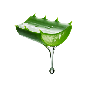 Aloevera
