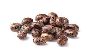 Castor seed