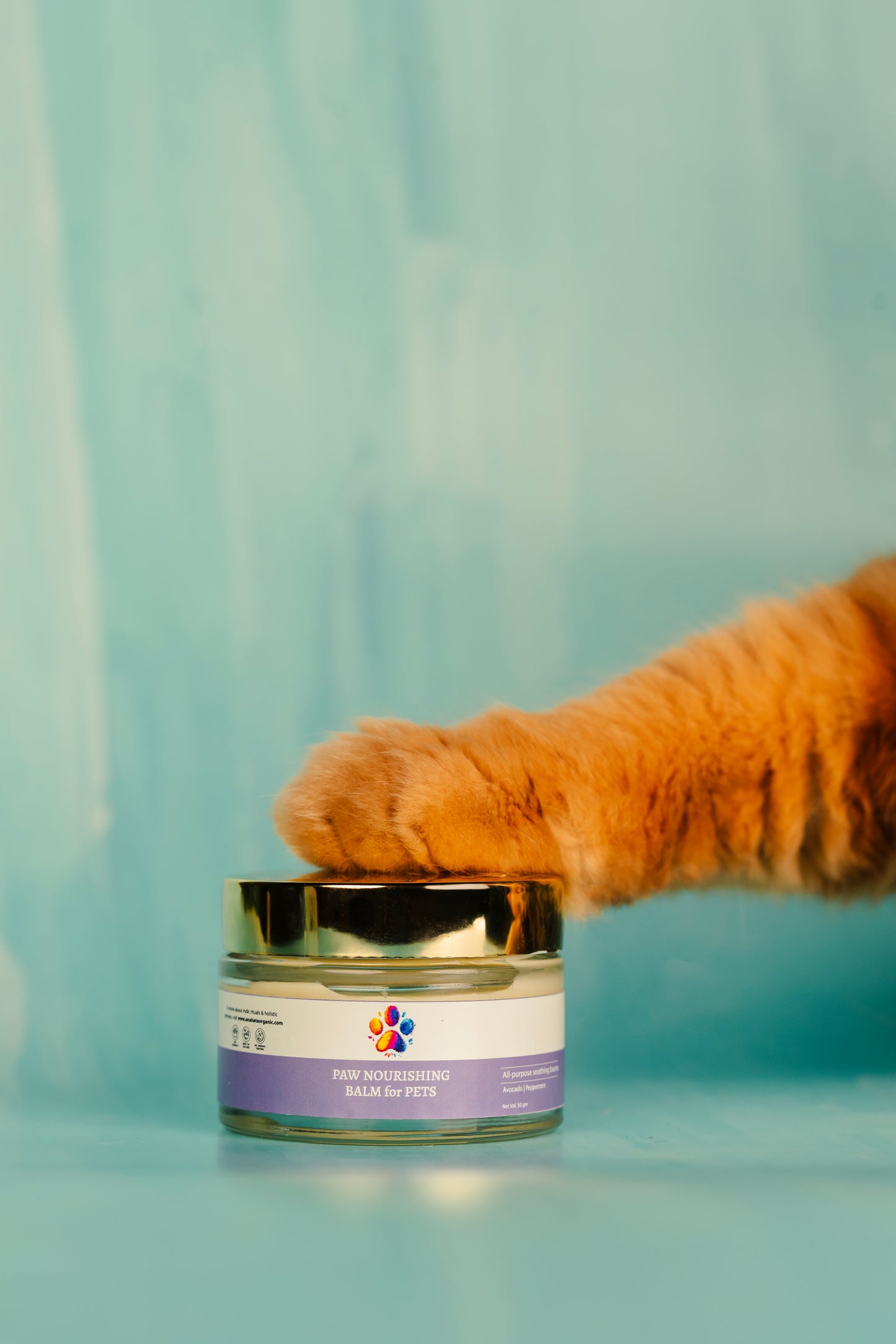 Paw Nourishing Balm for Pets